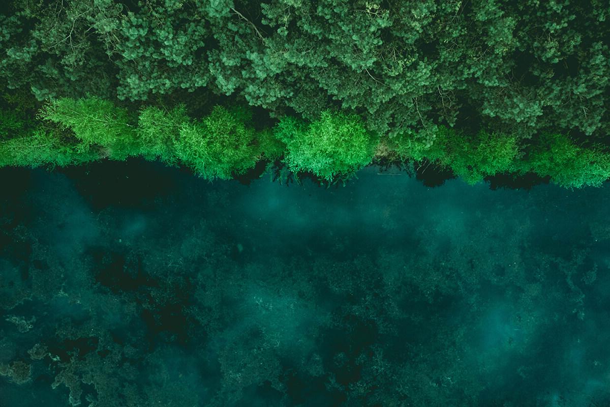 鸟瞰一条深绿色的河流，河岸上有浅绿色的树梢. 水平显示，河流在图片的下半部分，树木在上半部分